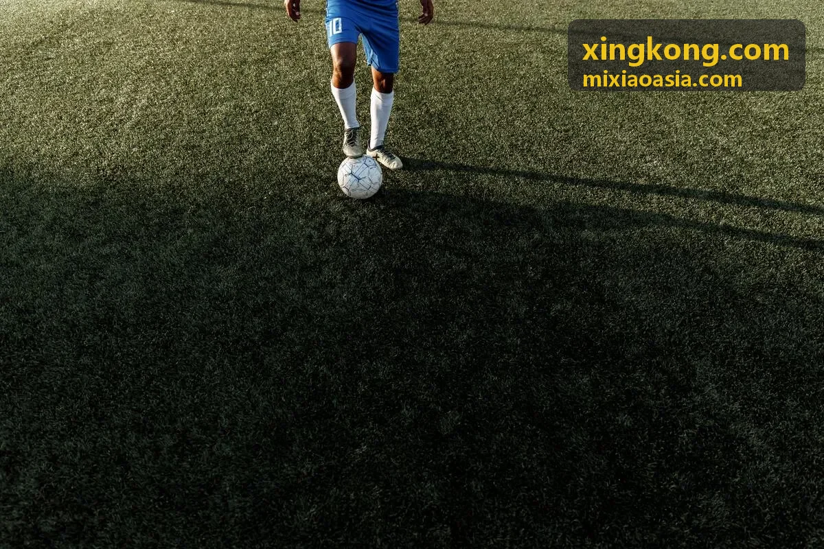 xingkong.com 案例 - 教育平台连接